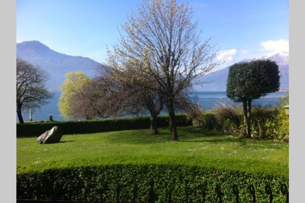 Favoloso Appartamento Fronte Lago, Gera Lario Exteriör bild