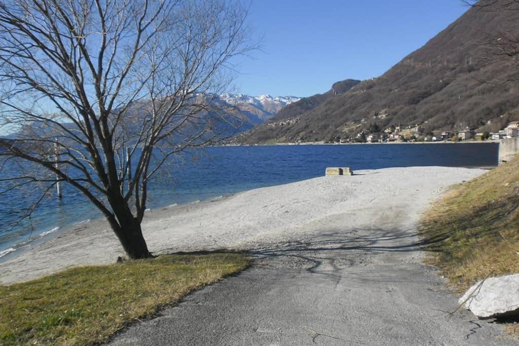 Favoloso Appartamento Fronte Lago, Gera Lario Exteriör bild